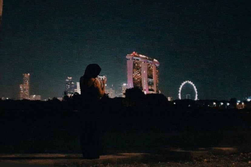 The New Car Owner's Guide Vol 4: Driving Overseas - Singapore, photo 5