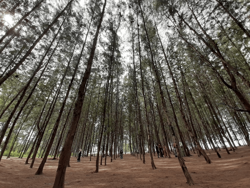 Tempat menarik yang anda mungkin tidak tahu untuk dilawat pada musim Raya ini (edisi Kelantan), photo 3