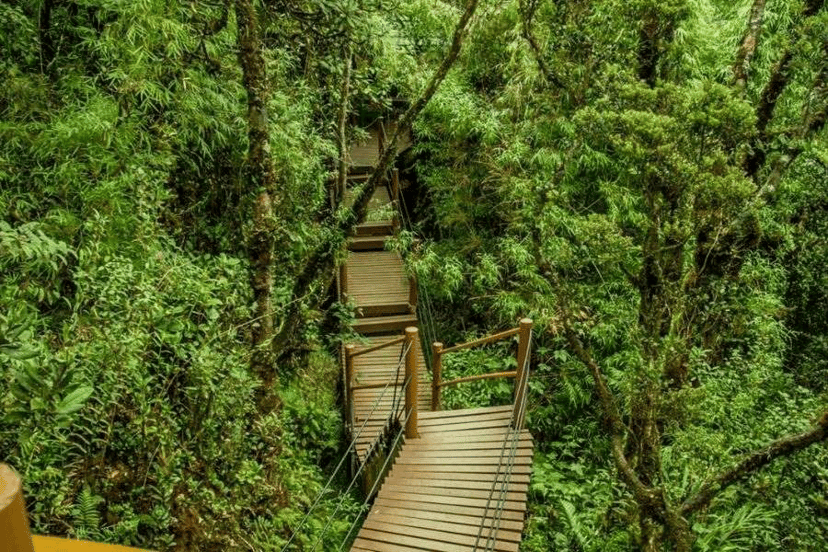 5 Destinasi Percutian Terbaik di Malaysia untuk Musim Cuti yang Tidak Dilupakan, photo 6