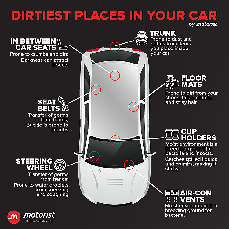 Dirtiest Places In The Car Infographic Edit